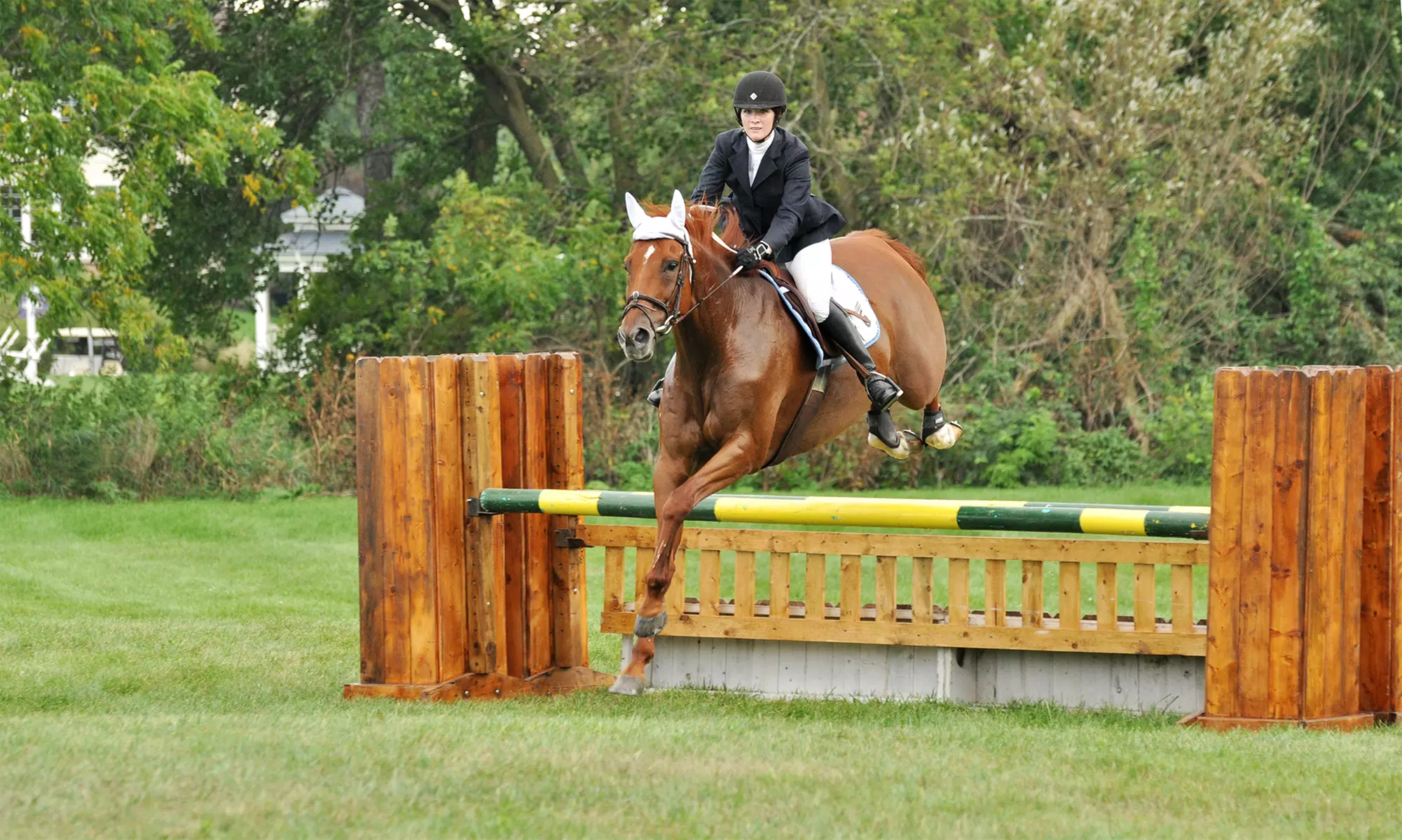 Three or Six 45- to 60-Minute Private Horseback-Riding Lessons at ThoroughQuest Acres (Up to 52% Off) - Primary Image