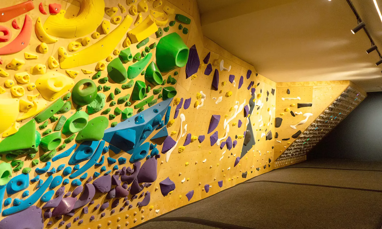 Acceso libre a las instalaciones de escalada para 1 o 2 adultos