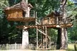 Proche Vallée des singes : 1 à 2 nuits pour 2 à 6 pers en cabane dans les arbres ou en Lodge aux Cabanes de la Belle - Second Medium