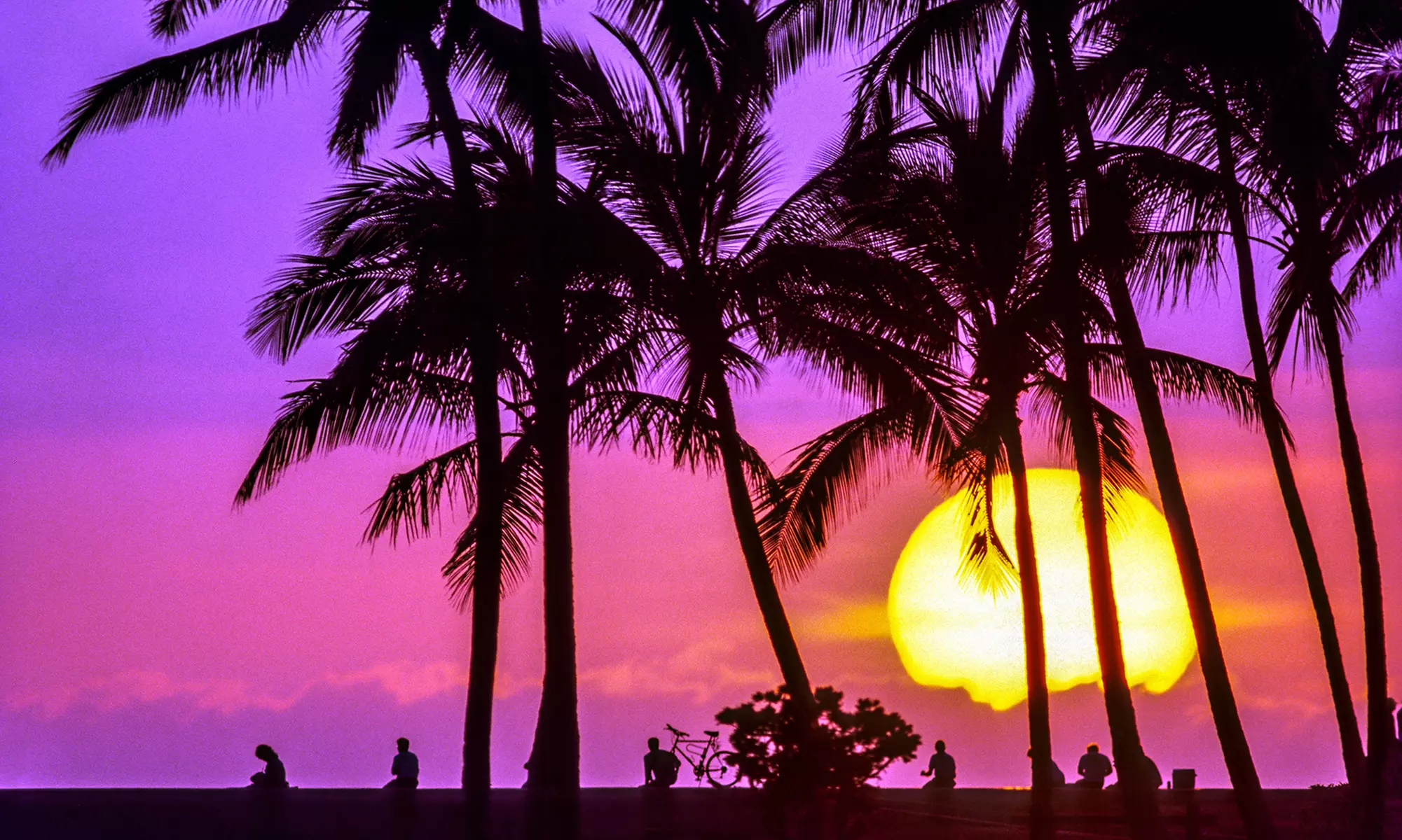 ✈ Hawaii Trip at 4.5-Star Resort with Airfare from Apple Vacations. Price per Person Based on Double Occupancy. - Primary Image