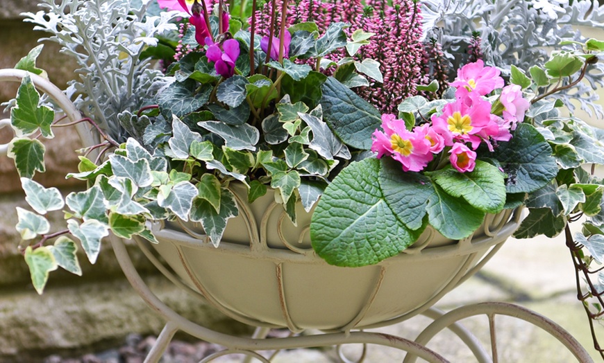 Image 3: One or Two Metal Wheelbarrow Planters