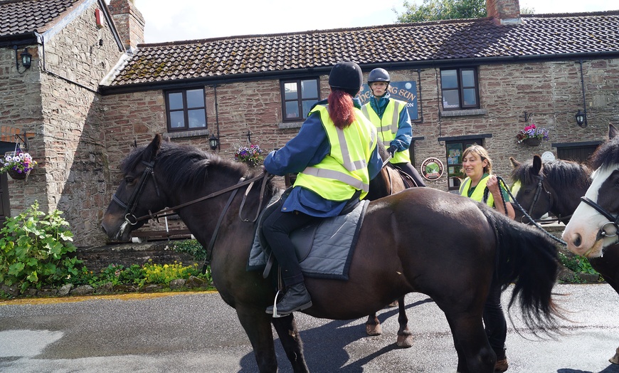 Image 1: Horse Riding and Trekking Lesson at SevernwyeEquestrian