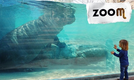 Ingresso al BioParco Zoom di Torino (sconto 18%)