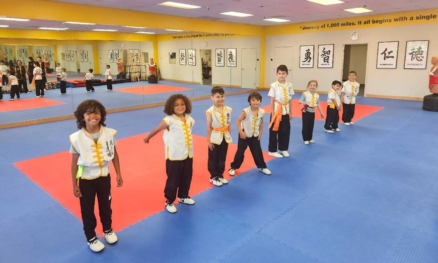 Image 5: Unleash Your Inner Warrior: Dive into Martial Arts Fun Today!