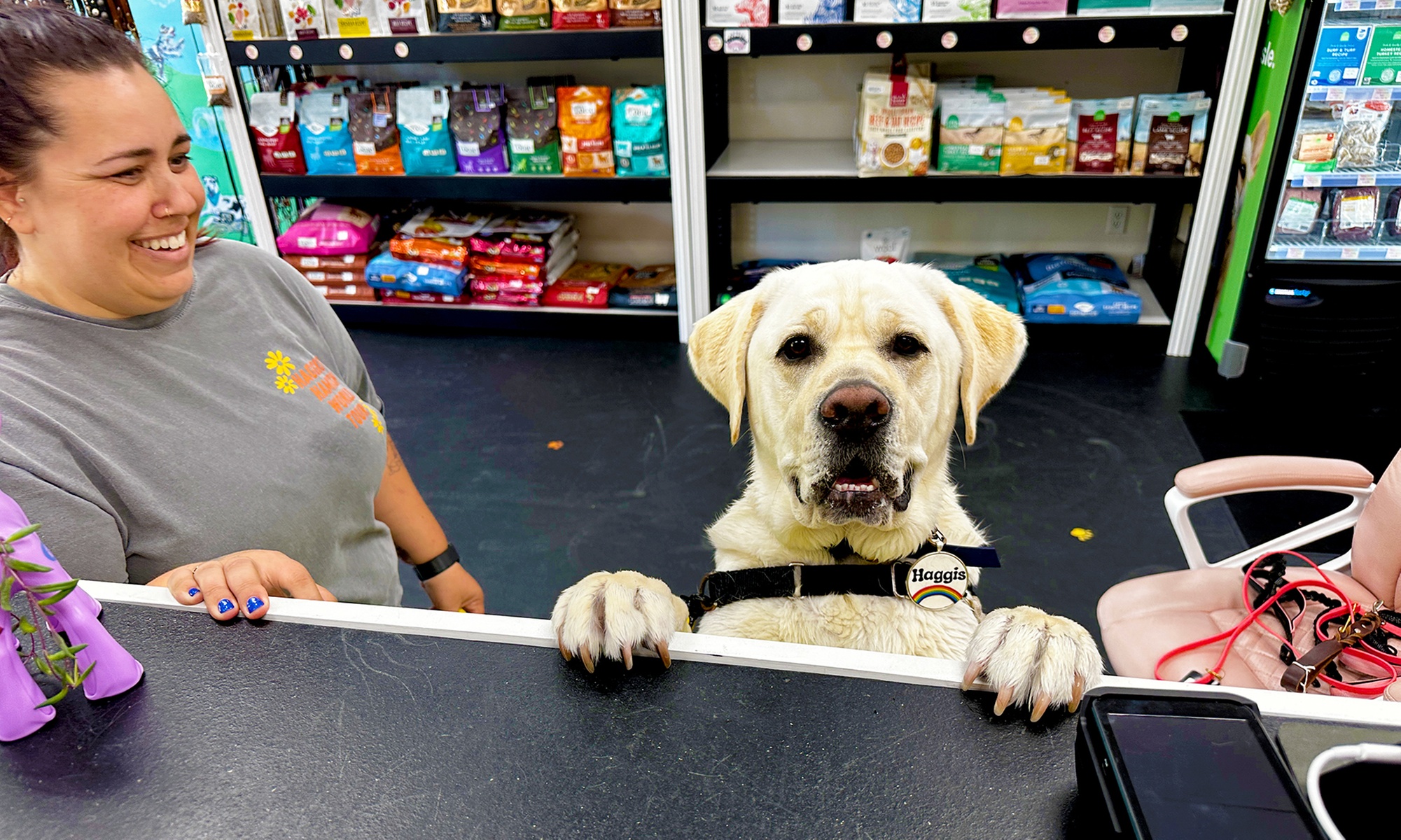 Up to 67% Off on Pet Supply Store at Paws N' Play