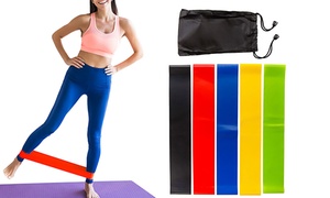 5 Resistance Bands with Bag