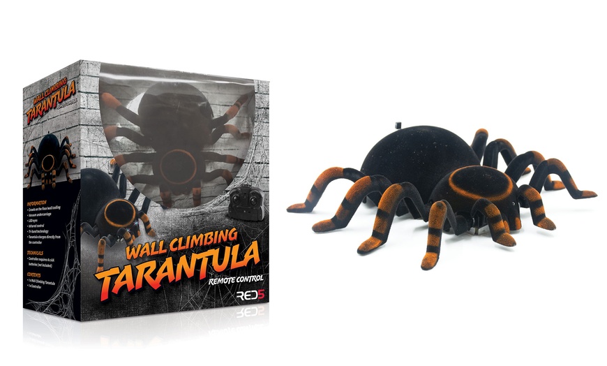 Image 1: Wall-Climbing Tarantula