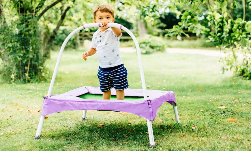 Image 2: Plum Trampolines