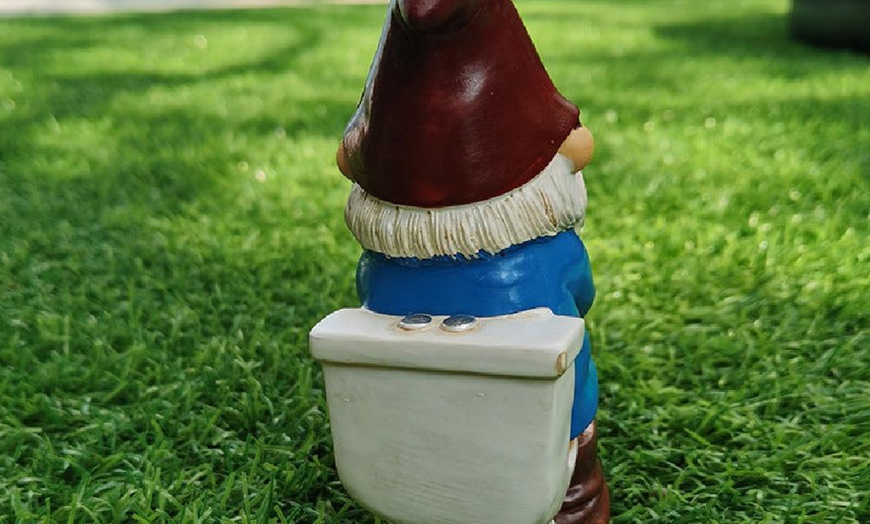 Image 15: Funny Gnome