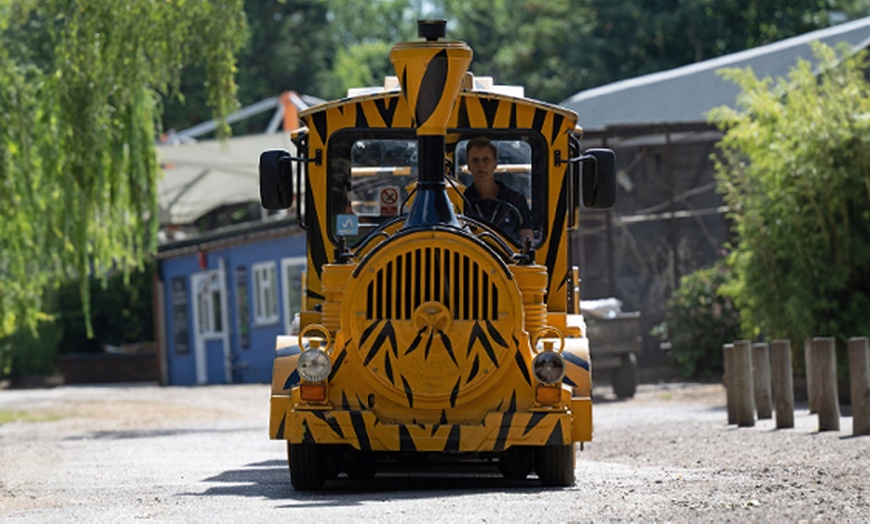 Image 8: Explore Banham Zoo with Child or Adult Ticket for Peak or Off-Peak