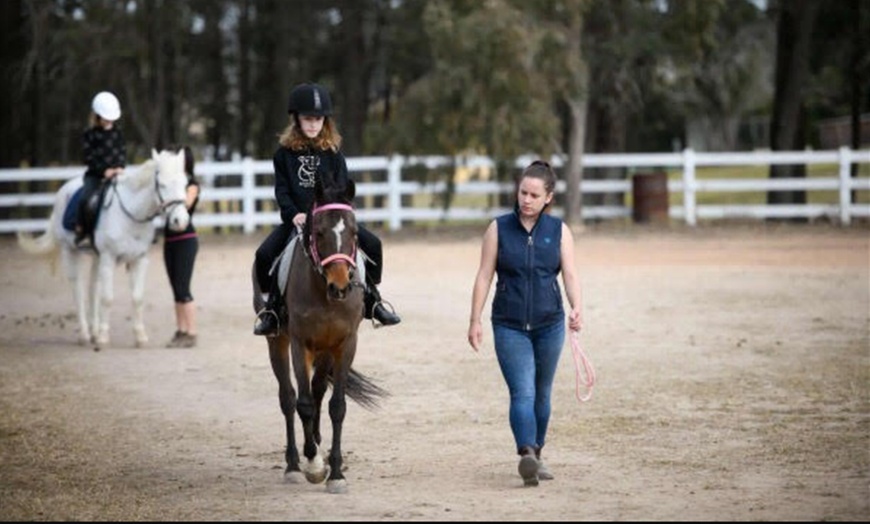 Image 4: 1-Hr Horse Riding and Care Pkg