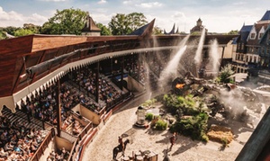 Nabij Kaatsheuvel: standaard kamer en Efteling-tickets voor 2/3 pers.