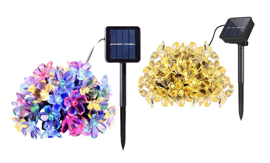 Image 2: 1 ou 2 guirlandes lumineuses à énergie solaire en forme de fleurs