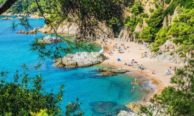 Lloret de Mar : chambre standard en ½ pension ou pension complète