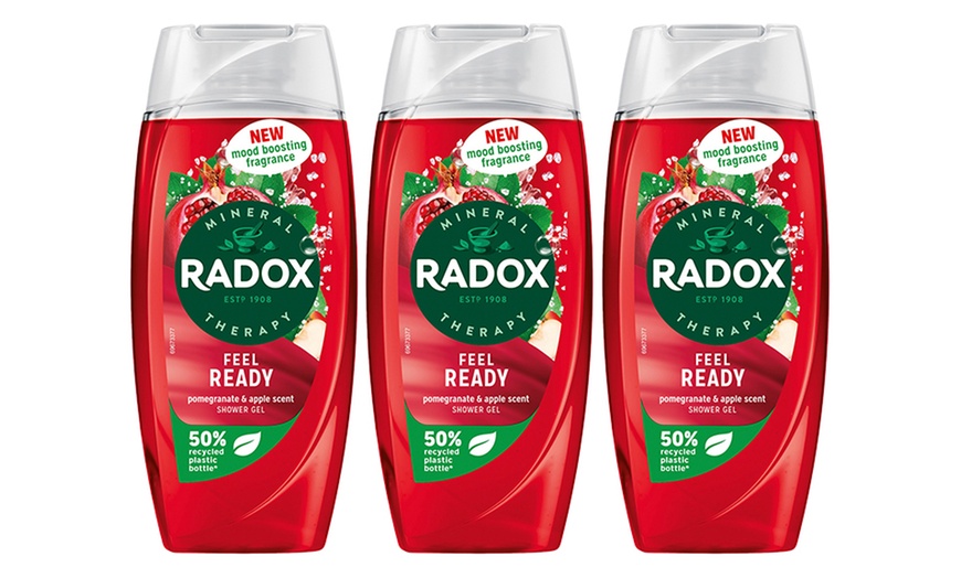 Image 26: Radox Mineral Therapy Shower Gel with Mood-Boosting Fragrance