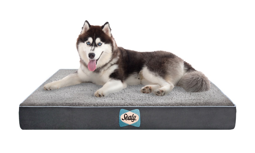 Sealy Supreme Sherpa Dog Beds | Groupon Goods