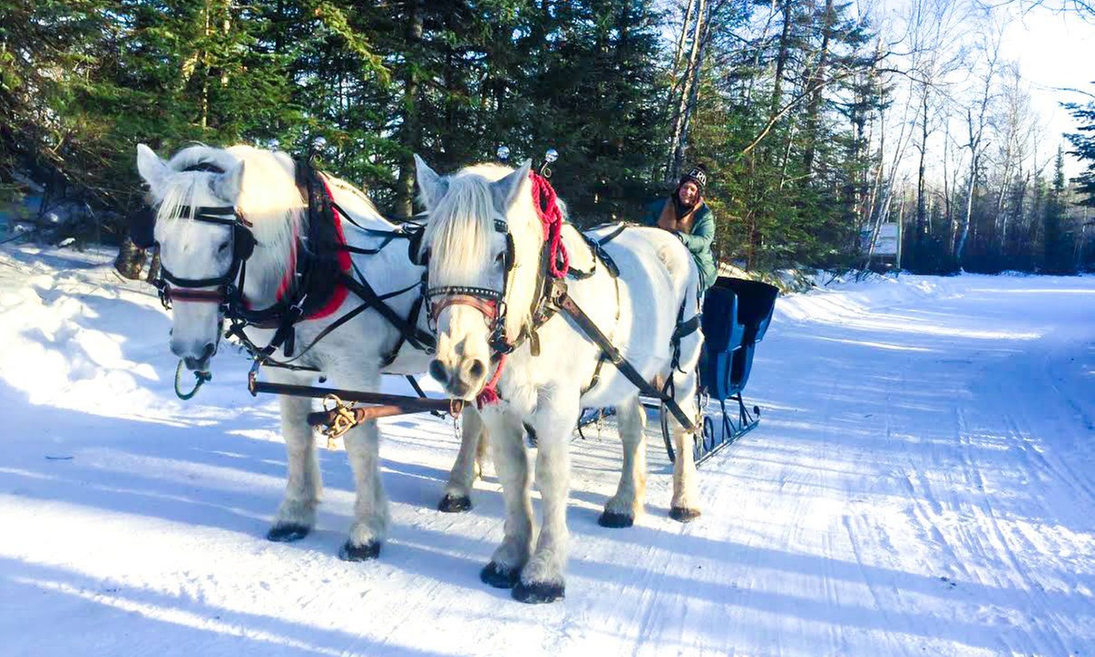 Discover Joy: Kennel Tours with Sleigh/Wagon Rides for 2 to 5 People!