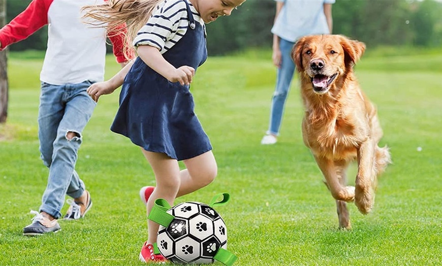 Image 3: Dog Toy Soccer Ball