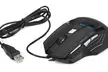Souris d'ordinateur 1200/1600/2400/3200/5500 DPI - Image 4