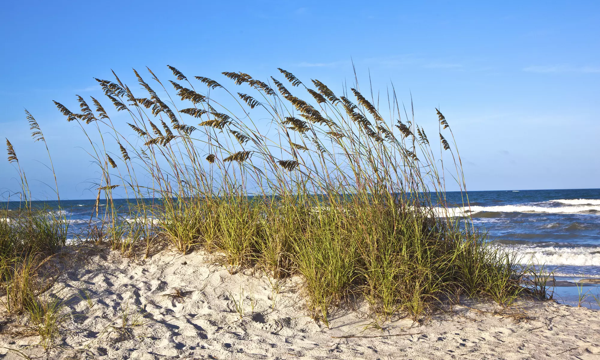 Stay at Amelia Hotel at the Beach in Amelia Island, FL. Dates into February 2018.   - Second Medium