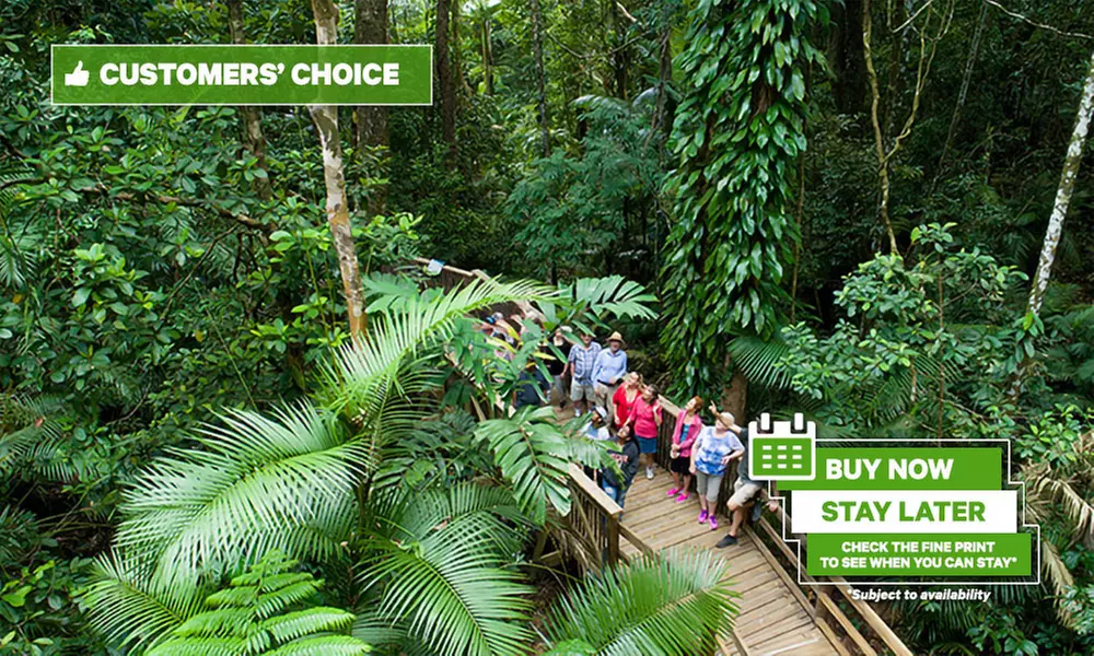 Daintree and Cape Tribulation: 1-Day 4WD Experience for Up to 4 w/ Wildlife Watching & River Cruise - Primary Image