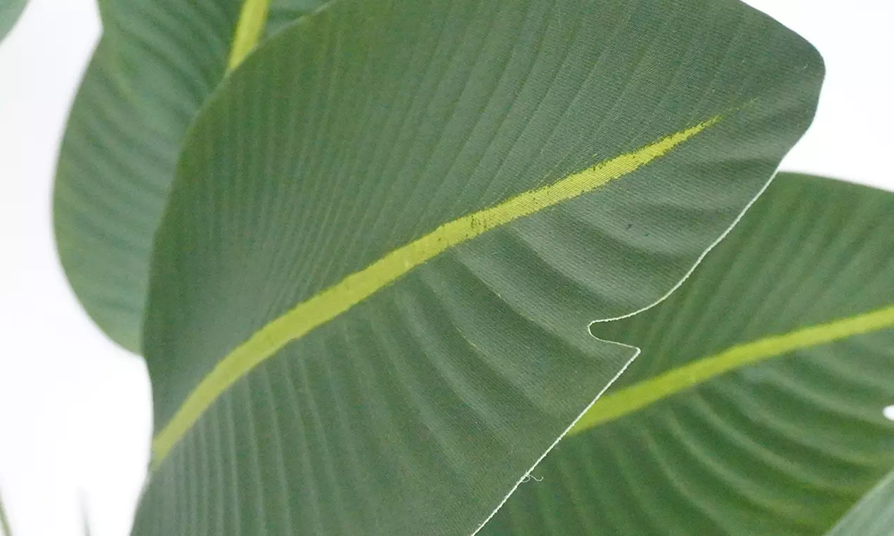 Collezione di piante finte da interno