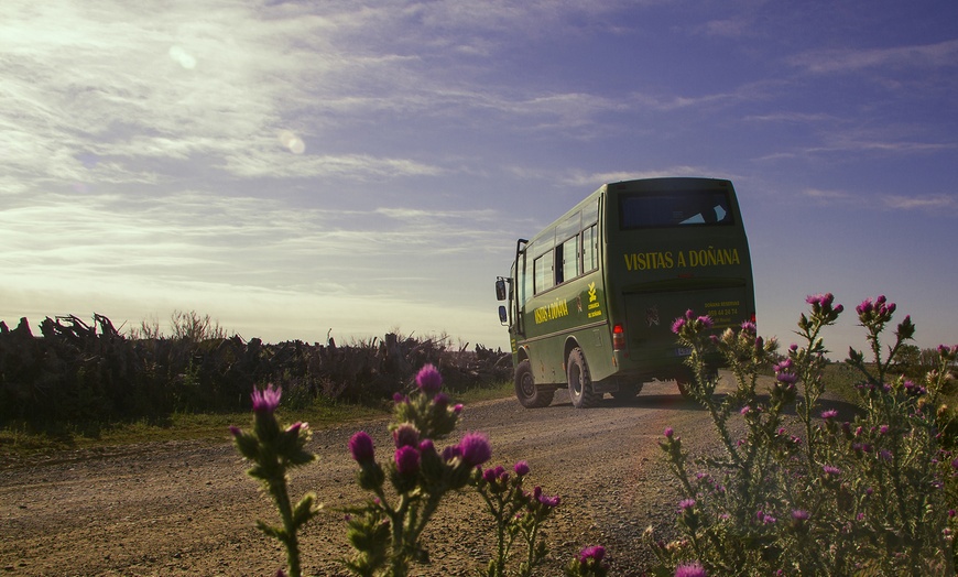 Image 11: Visita guiada al Parque Nacional de Doñana en 4x4 para adulto o niño