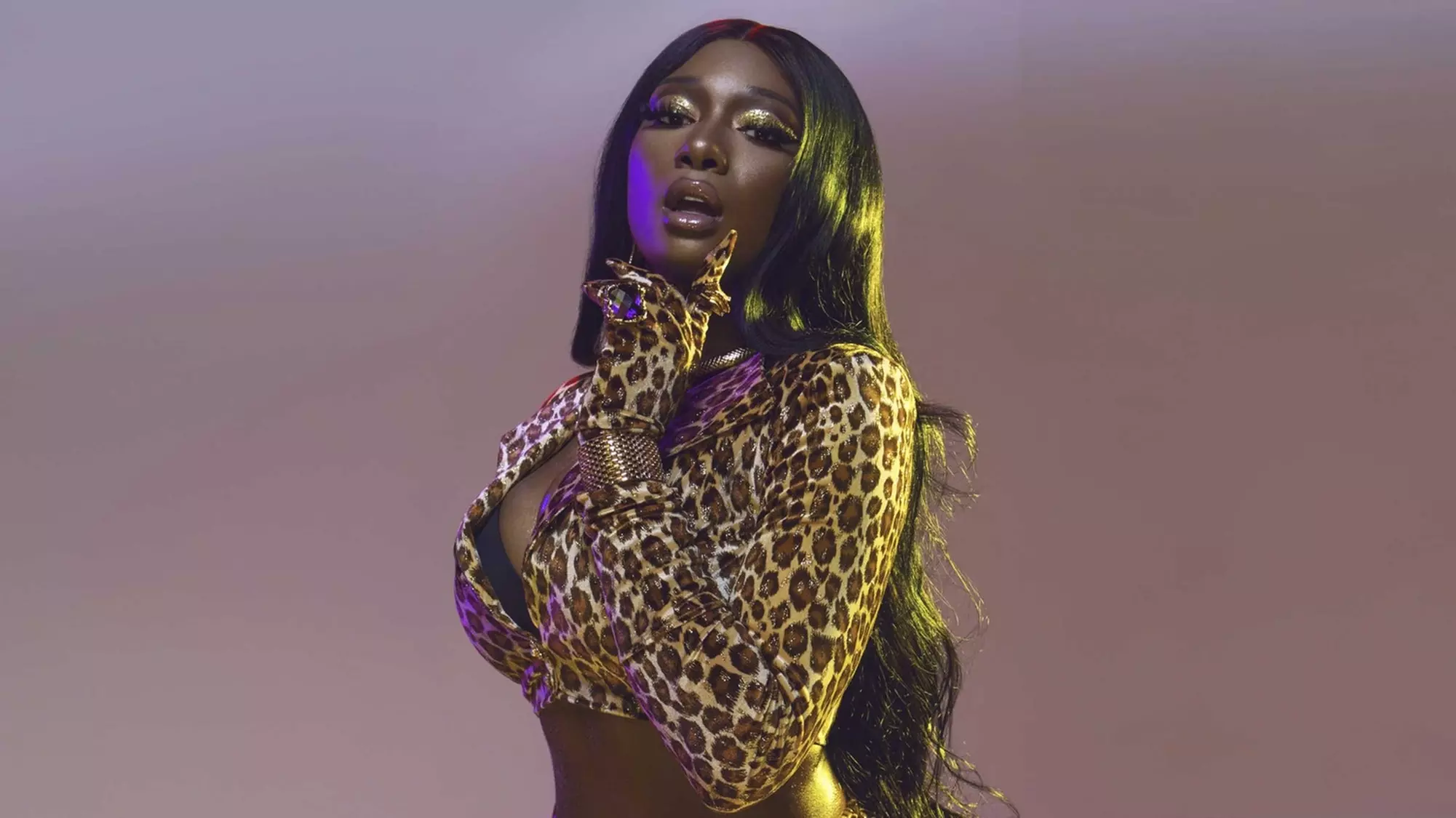 Black Friday Holiday Bag feat. Megan Thee Stallion and More on Friday, November 29, at 7 p.m. - Primary Image