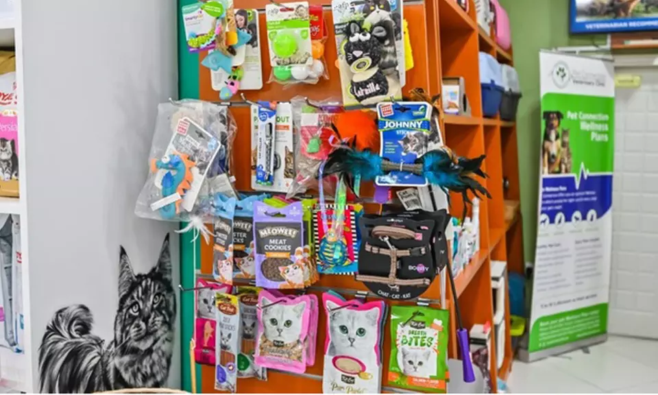 Veterinary Examination at Pet Connection Veterinary Clinic