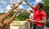 Dive into Endless Adventure & Discover South Florida's Best Spots with GetOutPass for One (Up to 35% Off)