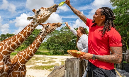 GetOutPass - South Florida for One Person - GetOutPass - South Florida