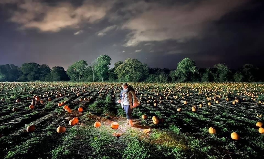 Image 3: Entry with Halloween Maze to Hatters Farms Pumpkins