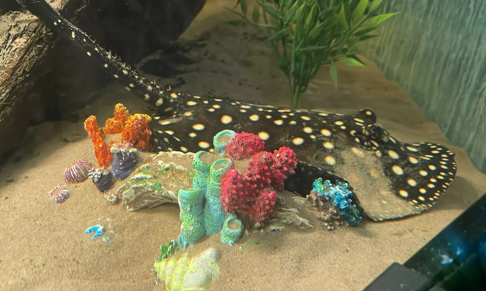 Up to 14% Off on Zoo / Animal Park at Get To Know Animals