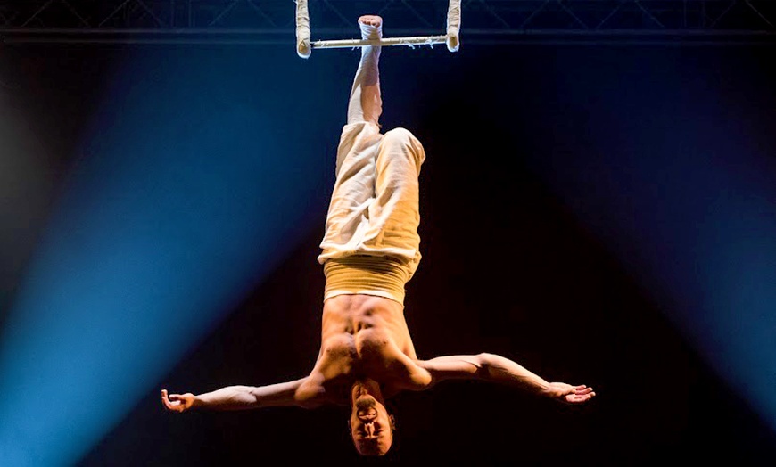 Image 3: Laissez-vous enchanter par la magie du Cirque Borsberg à Caen !