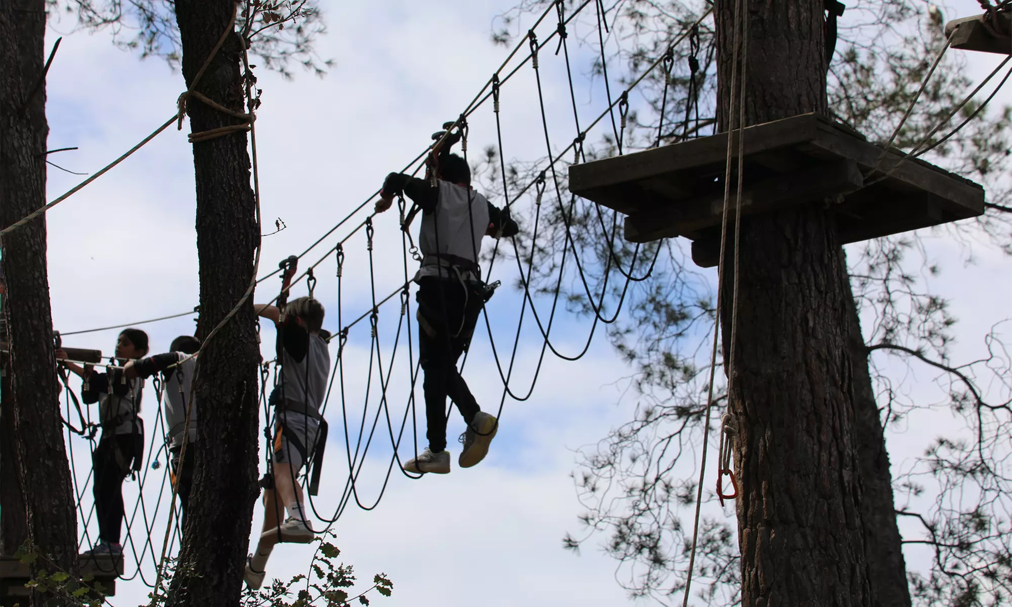 Entrada para la exposición de maquetas con opción a parque aventura