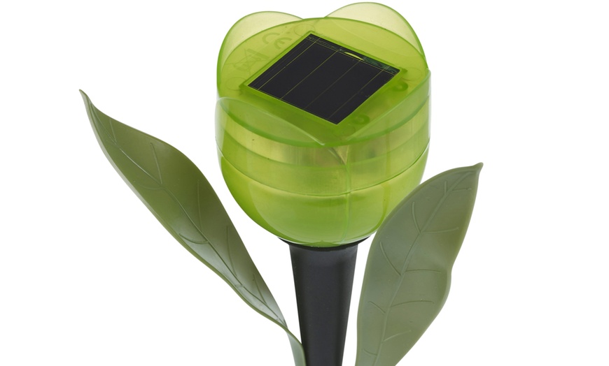 Image 13: Set of 6 or 12 Tulip-Shaped Garden Solar Lights