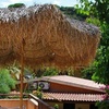 Image 8: Calabria 4*: 7 notti in pensione completa, bevande e spiaggia