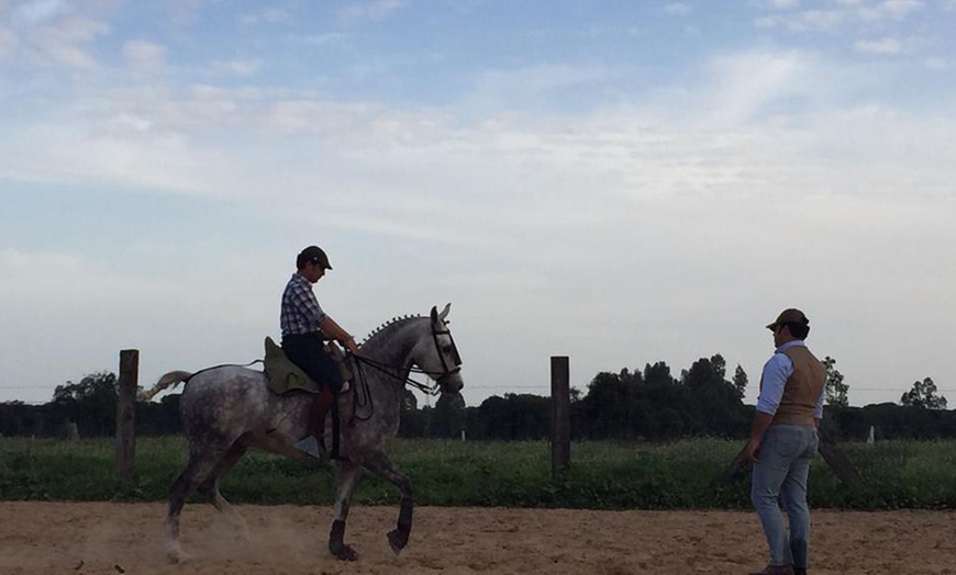 Image 5: Paseo a caballo para 2 o 4