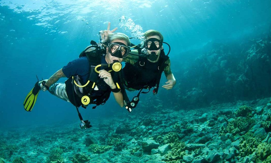 Image 4: VIP Scuba Diving Tour