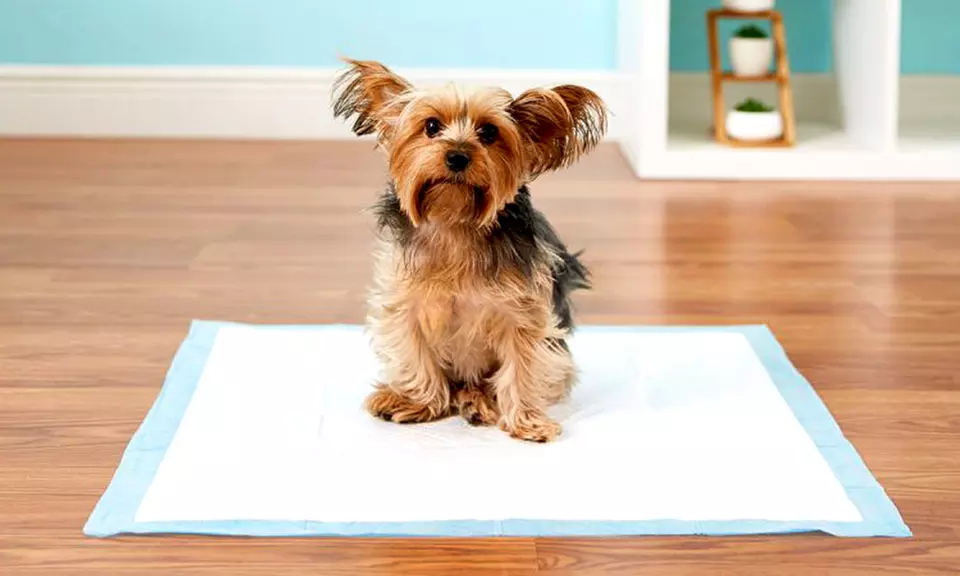 100 tapis toilette pour chiots de la marque Pet Amore - Primary Image