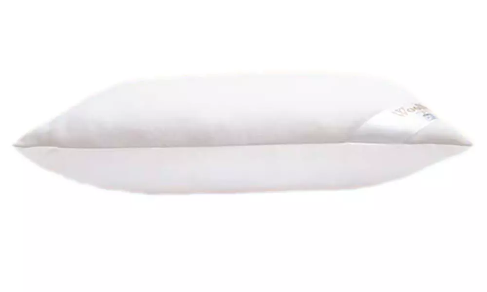 Ganzjahresdecke oder Kissen