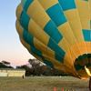Image 2: Soar Above the Vineyards: Sunrise Hot Air Balloon Flight over Yarra Valley with Serenity Hot Air Balloons