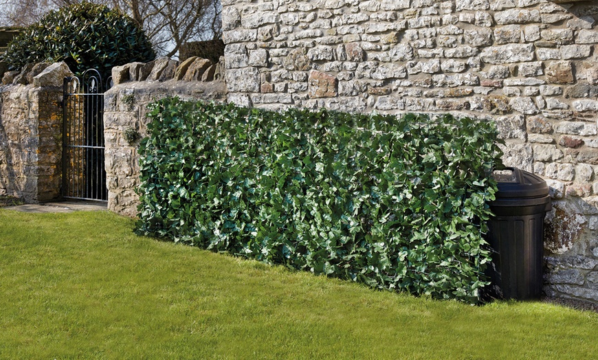 Image 2: Three or Six Meters of Rolled Ivy or Laurel Fence