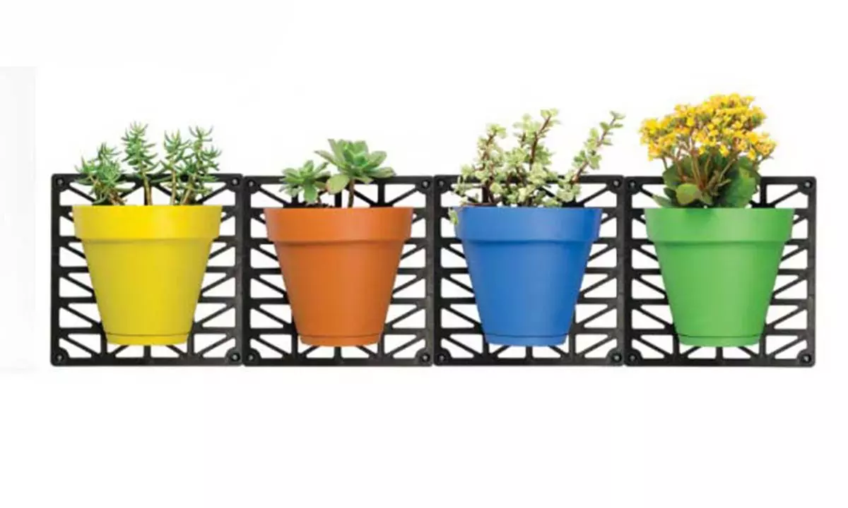 1, 2 ou 4 kits de 4 pots de plante avec support mural, assortiment de coloris - Primary Image
