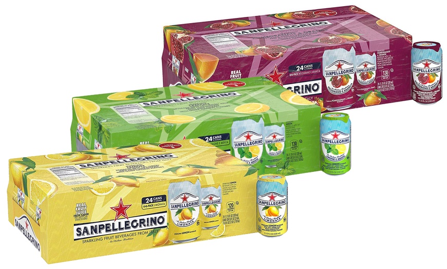 Image 1: 24 Cans of San Pellegrino