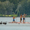 Image 7: One or Two-Hour Paddleboard Hire for Up to 8 People