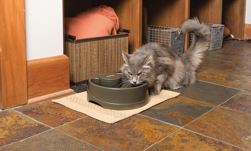 Up To 30% Off On PetSafe Drinkwell Fountain | Groupon Goods