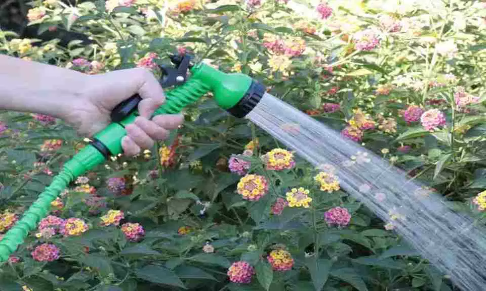 Flexibler Gartenschlauch mit Multifunktionsspritze