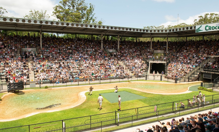 Image 11: Admission and Hospital Sneak Peek to Australia Zoo