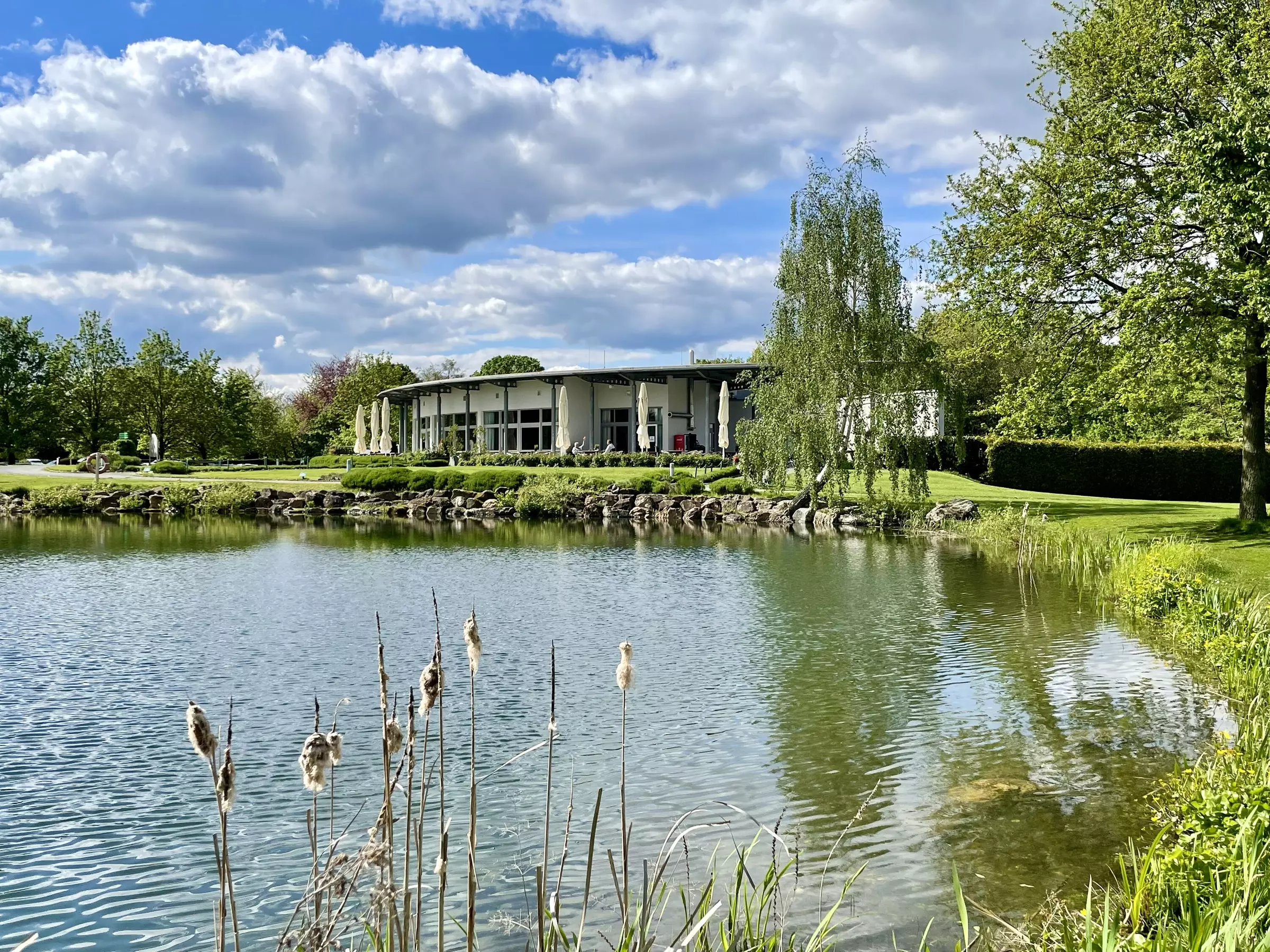 Spareribs inkl. Coleslaw & Beilage nach Wahl für 1 - 10 Personen